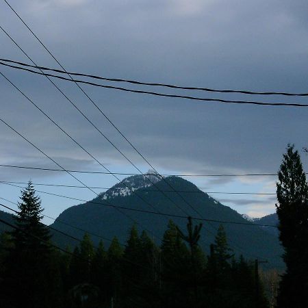 Mountain View Lodge - No Pets Allowed Packwood Bagian luar foto