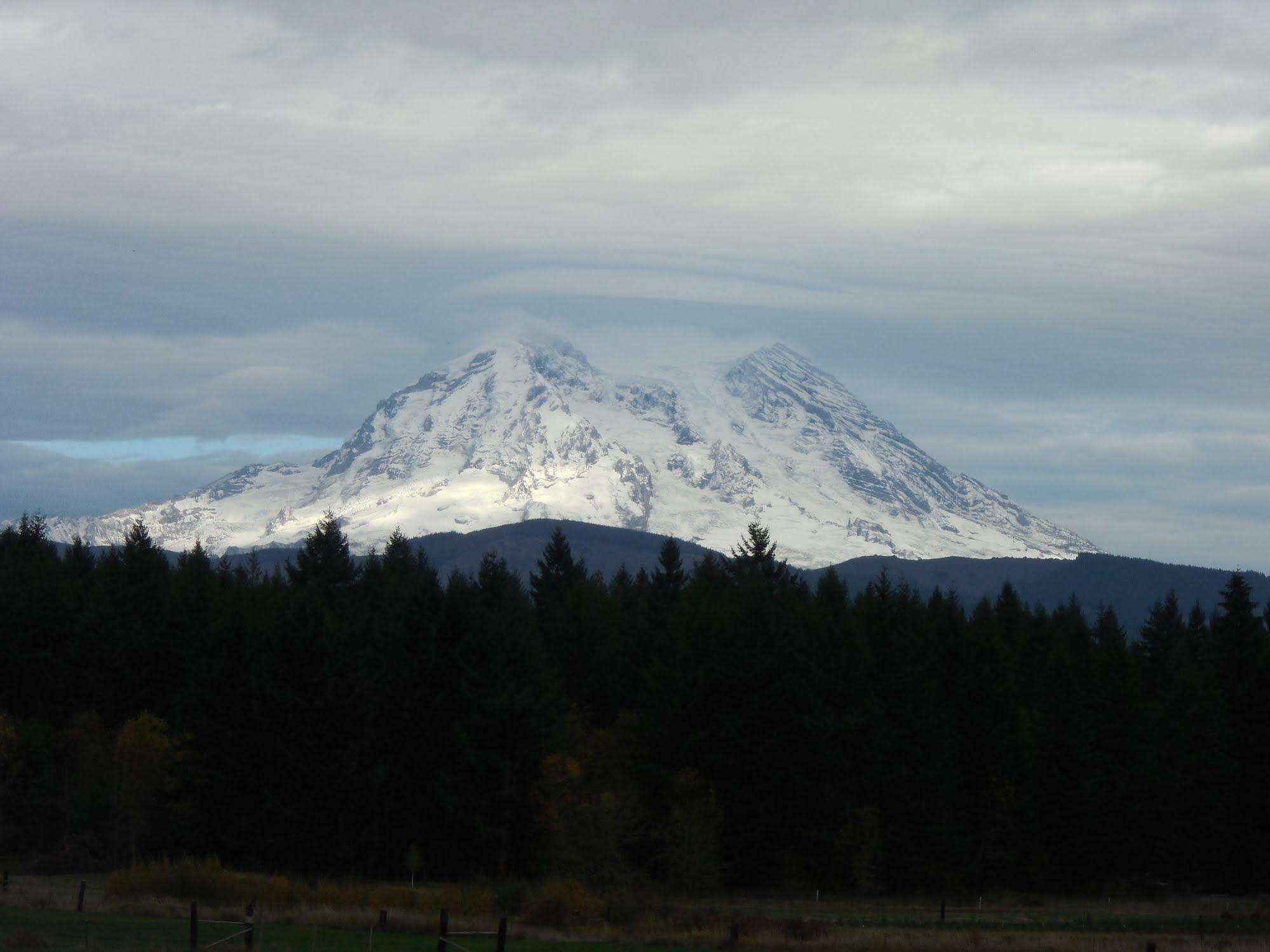 Mountain View Lodge - No Pets Allowed Packwood Bagian luar foto
