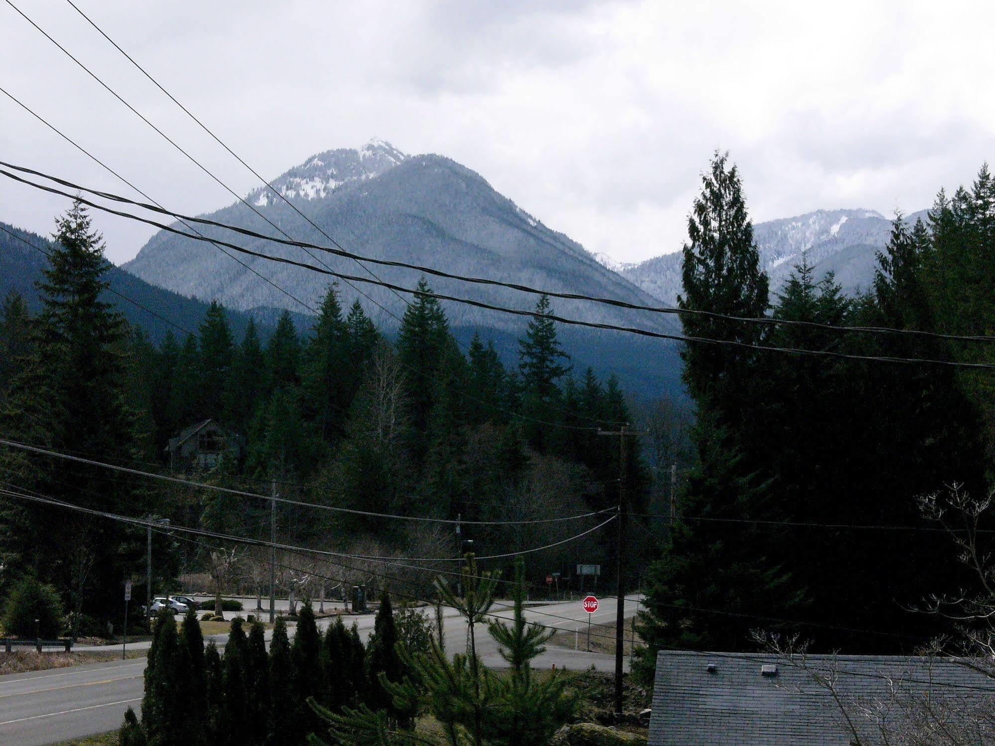 Mountain View Lodge - No Pets Allowed Packwood Bagian luar foto