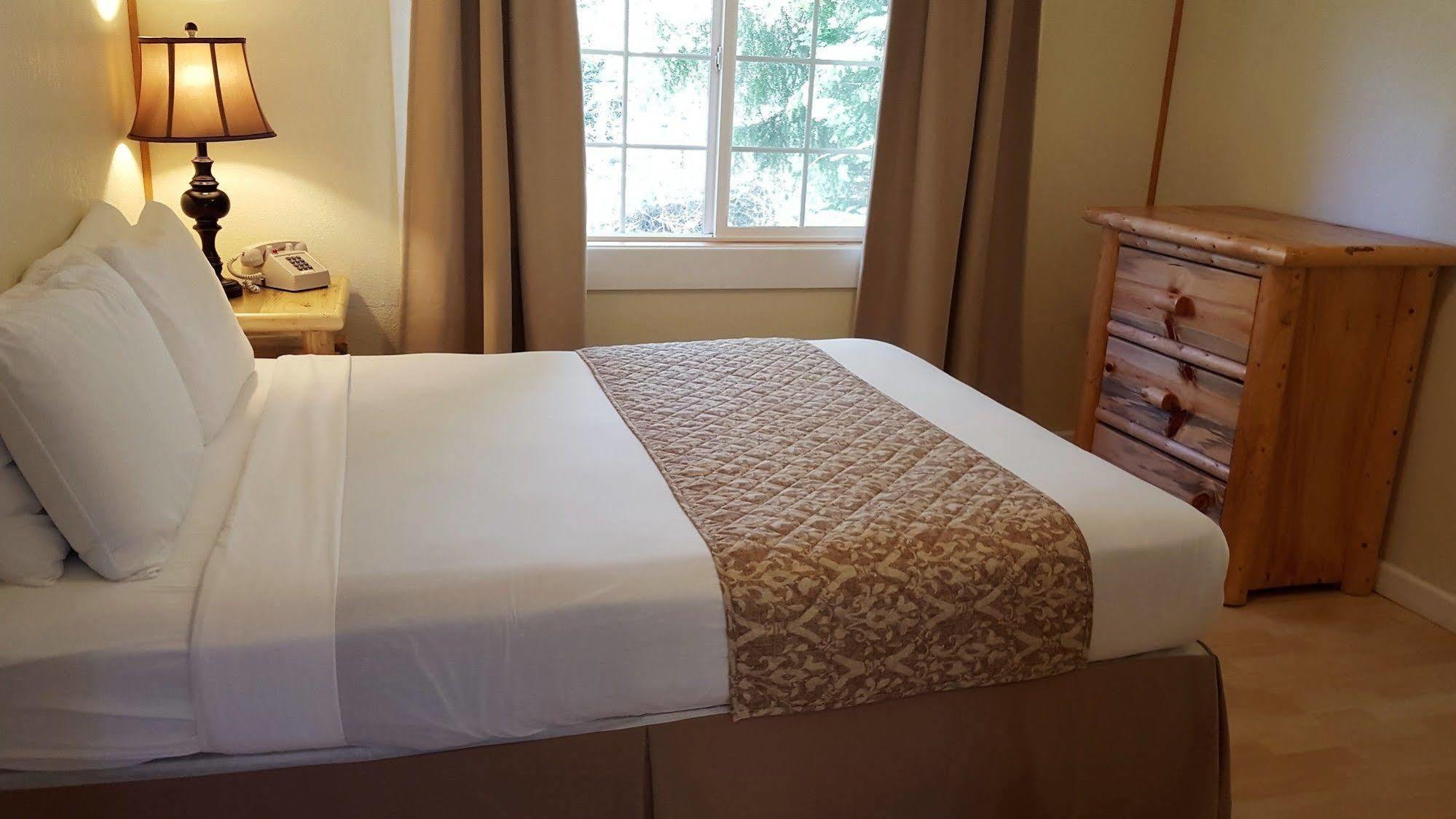 Mountain View Lodge - No Pets Allowed Packwood Bagian luar foto